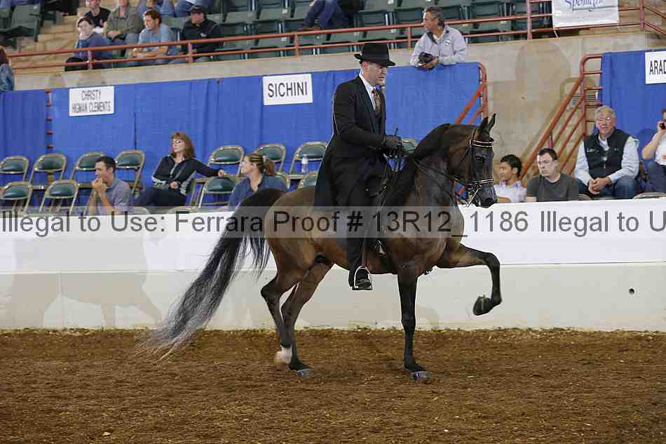 Proof Number 13r12_1186