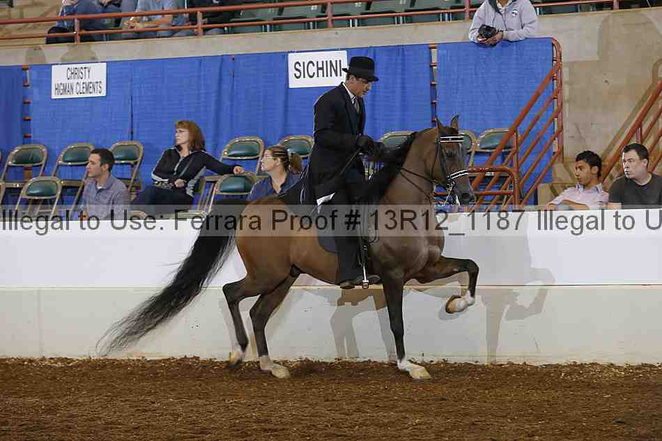 Proof Number 13r12_1187