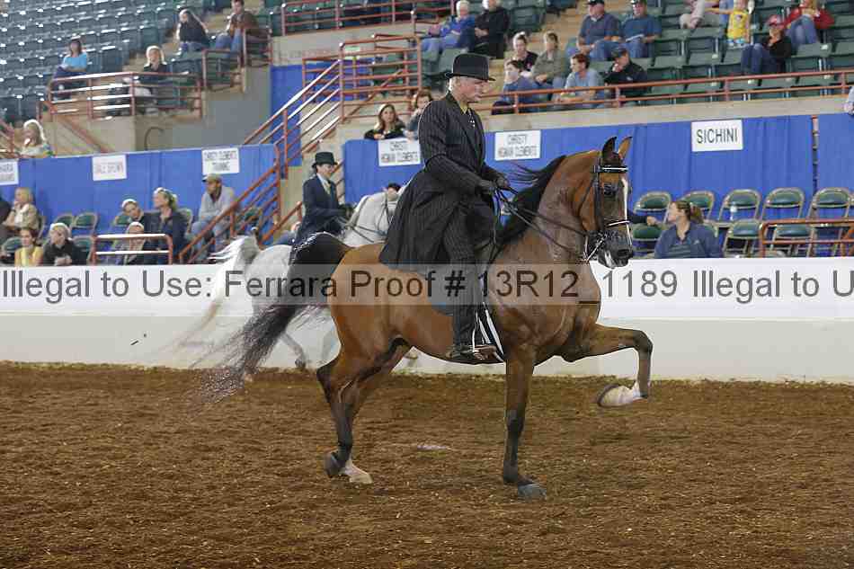 Proof Number 13r12_1189
