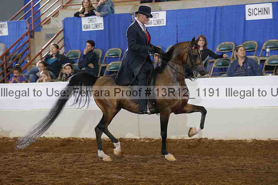 Proof Number 13r12_1191