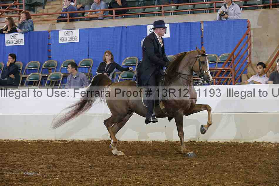 Proof Number 13r12_1193