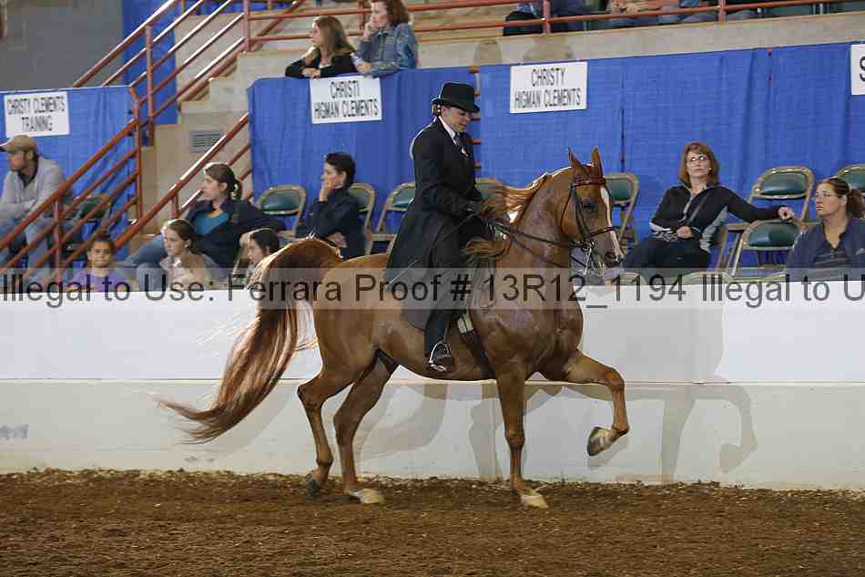 Proof Number 13r12_1194