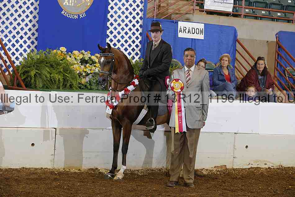 Proof Number 13r12_1196