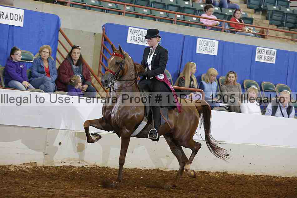 Proof Number 13r12_1205
