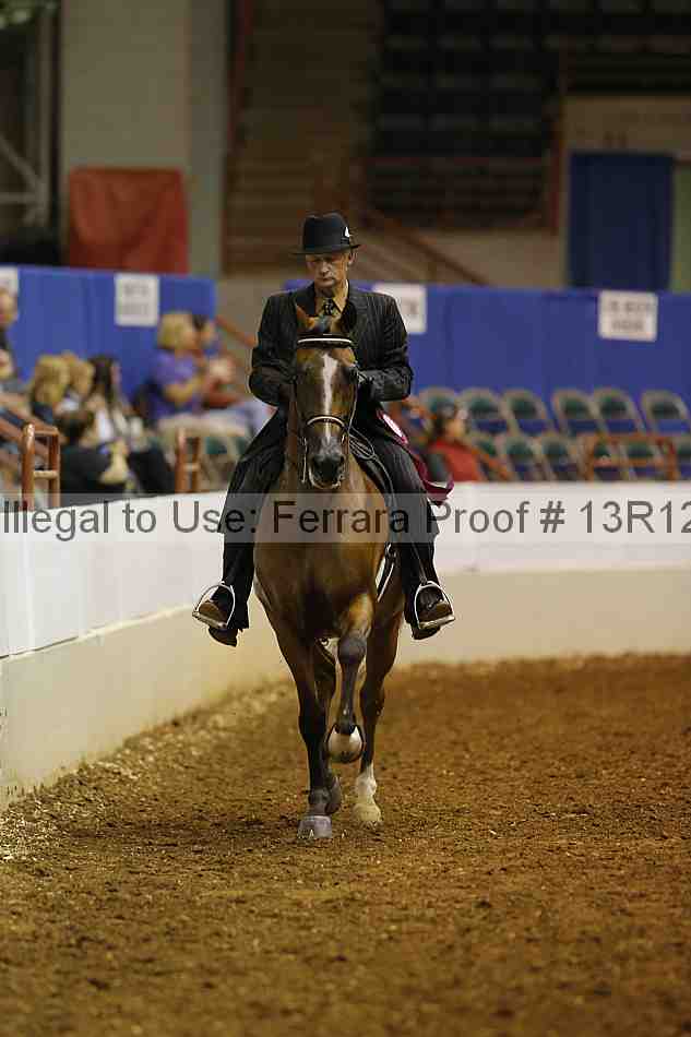 Proof Number 13r12_1206