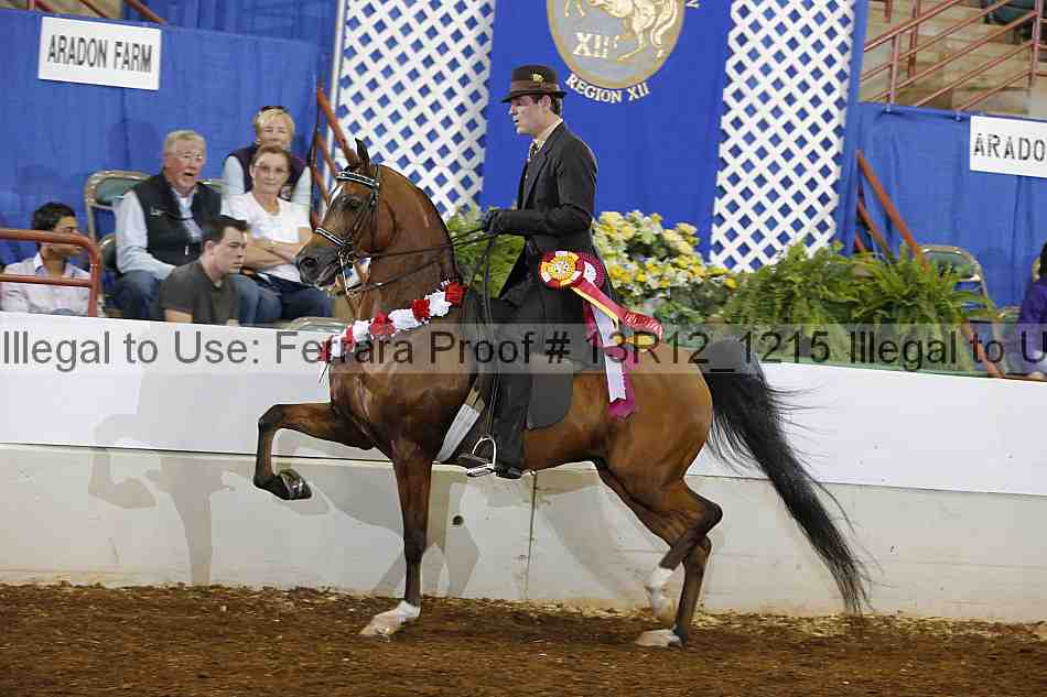 Proof Number 13r12_1215