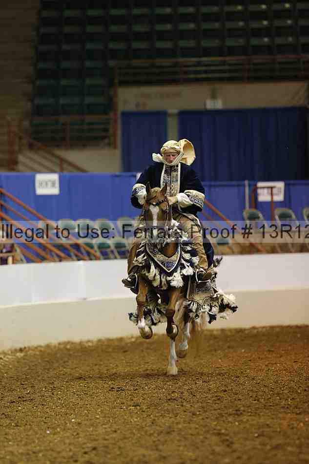 Proof Number 13r12_1257