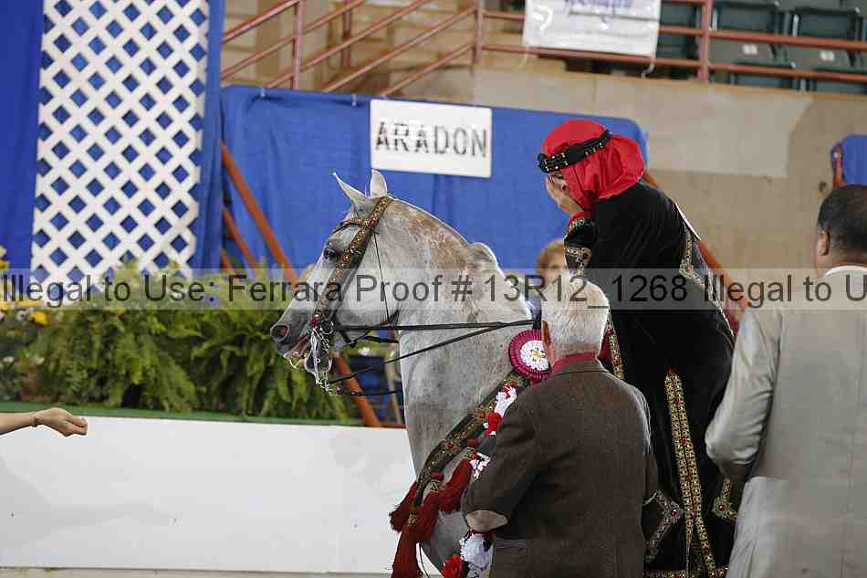 Proof Number 13r12_1268