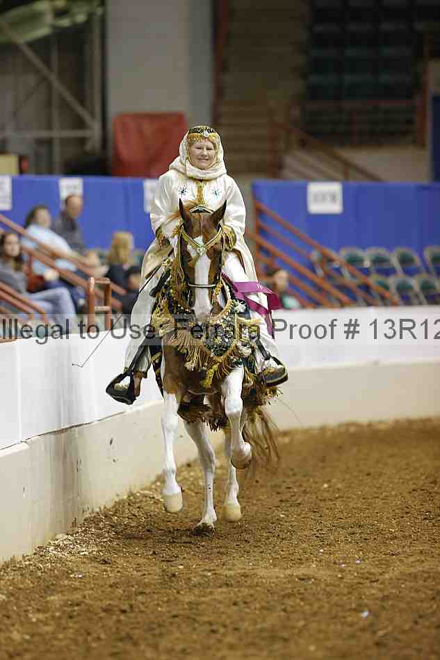 Proof Number 13r12_1273