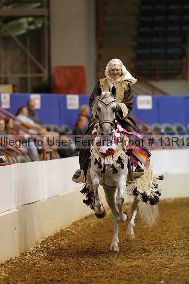 Proof Number 13r12_1285