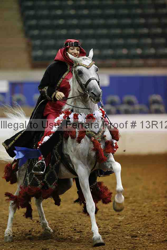 Proof Number 13r12_1288