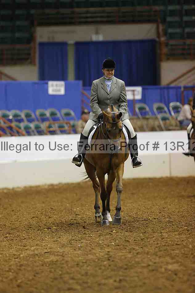 Proof Number 13r12_1318