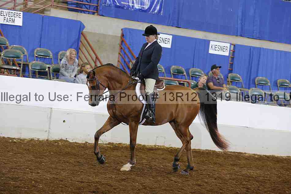 Proof Number 13r12_1319