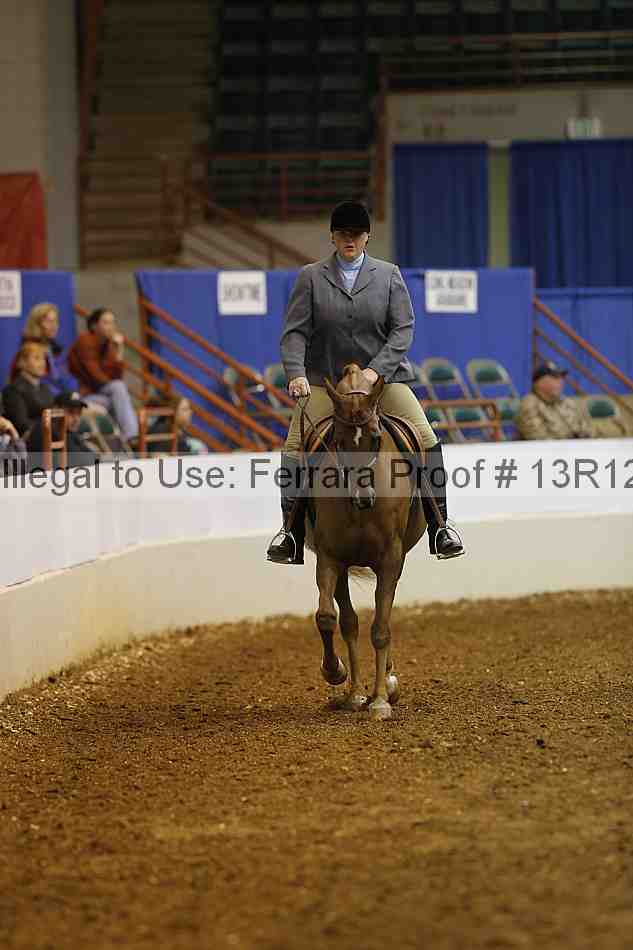Proof Number 13r12_1321