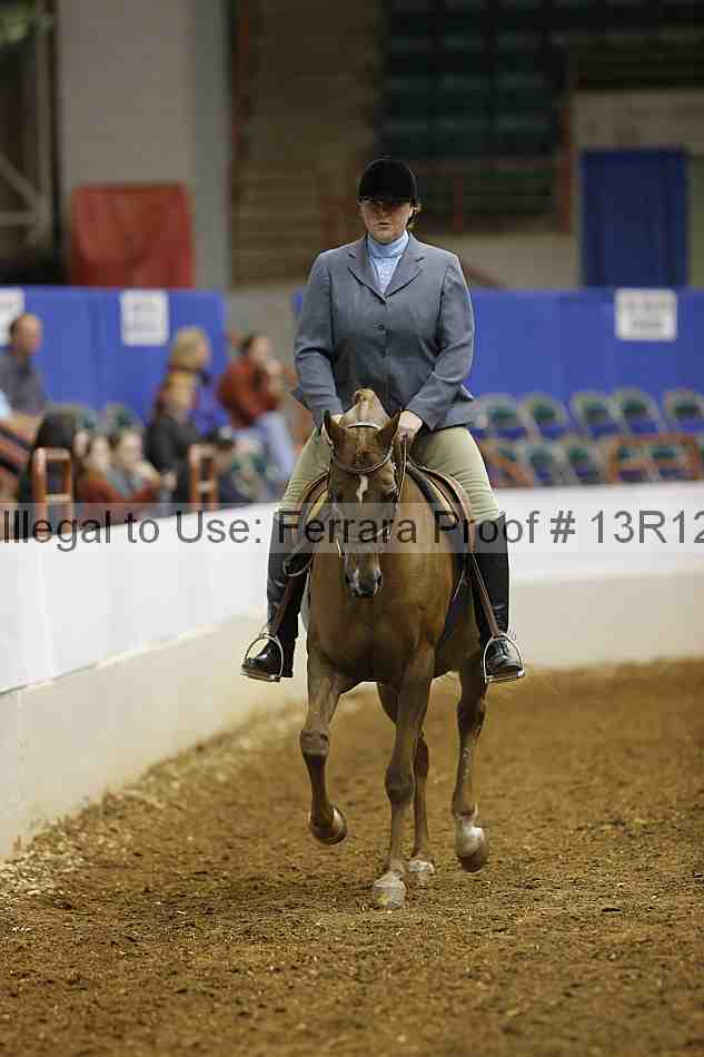 Proof Number 13r12_1323
