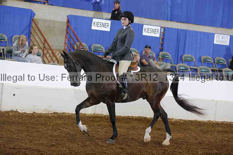 Proof Number 13r12_1324