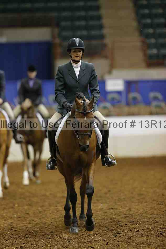 Proof Number 13r12_1325