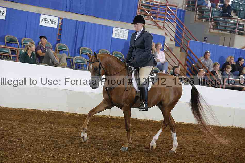 Proof Number 13r12_1326