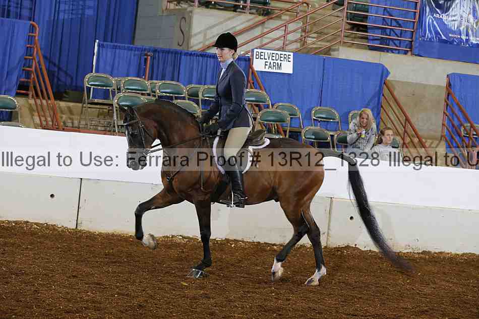 Proof Number 13r12_1328
