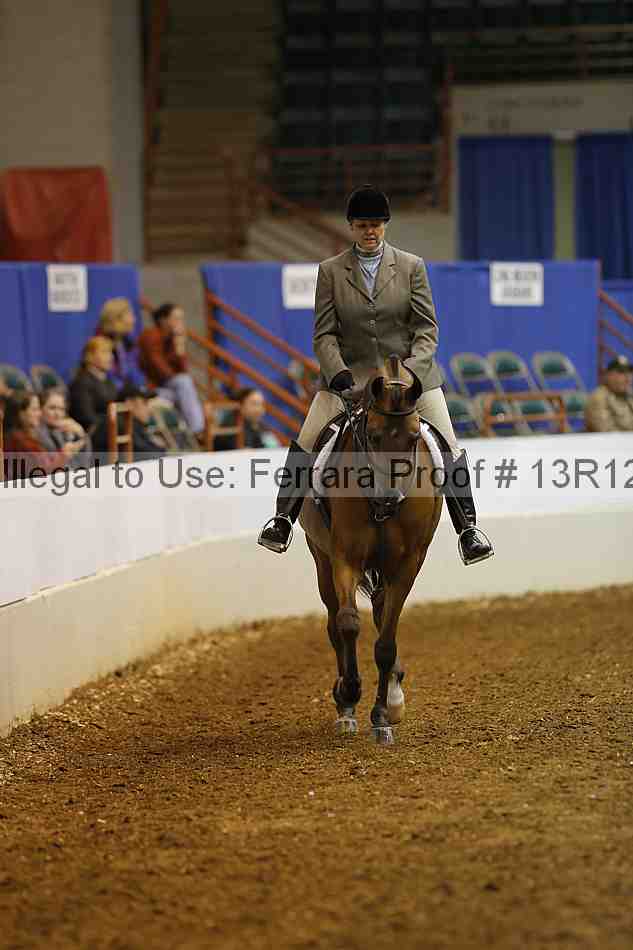 Proof Number 13r12_1332