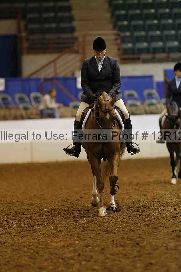 Proof Number 13r12_1333