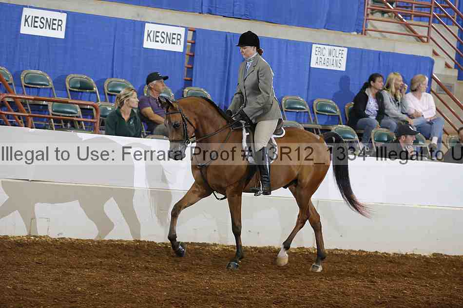 Proof Number 13r12_1334
