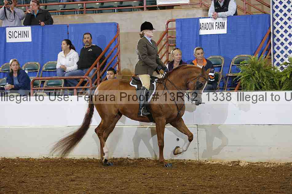 Proof Number 13r12_1338
