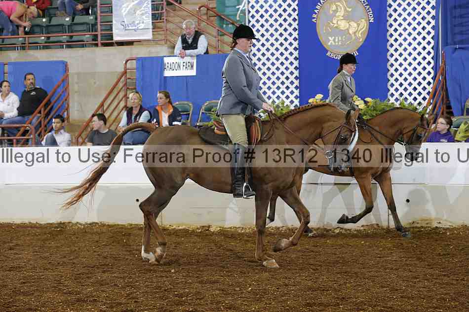 Proof Number 13r12_1340