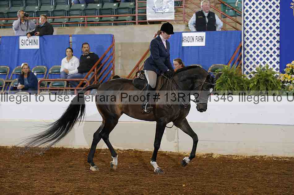 Proof Number 13r12_1346