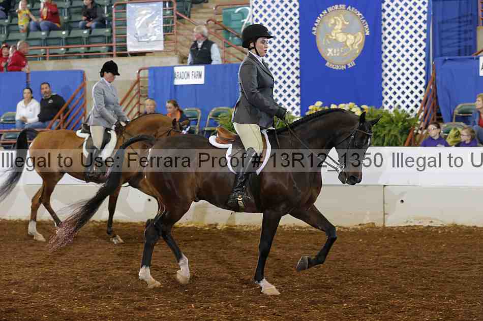 Proof Number 13r12_1350