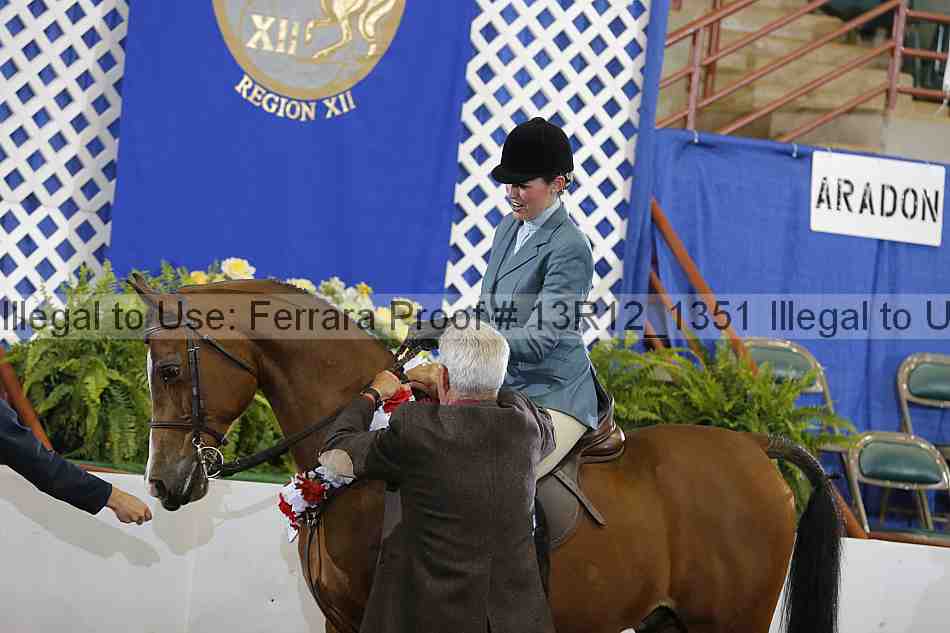 Proof Number 13r12_1351