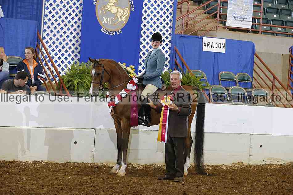 Proof Number 13r12_1353