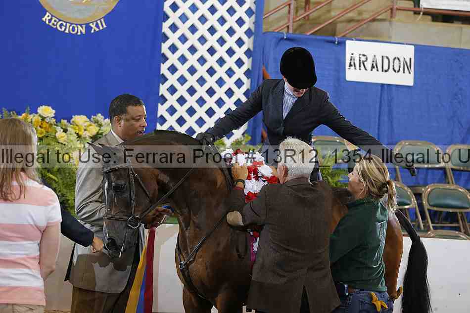 Proof Number 13r12_1354