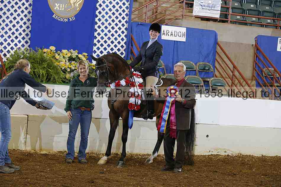 Proof Number 13r12_1358