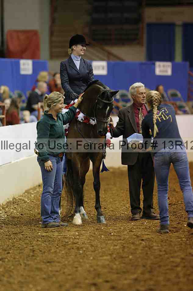 Proof Number 13r12_1360
