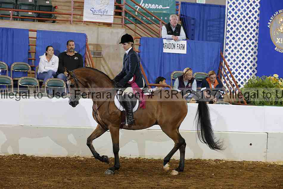 Proof Number 13r12_1372