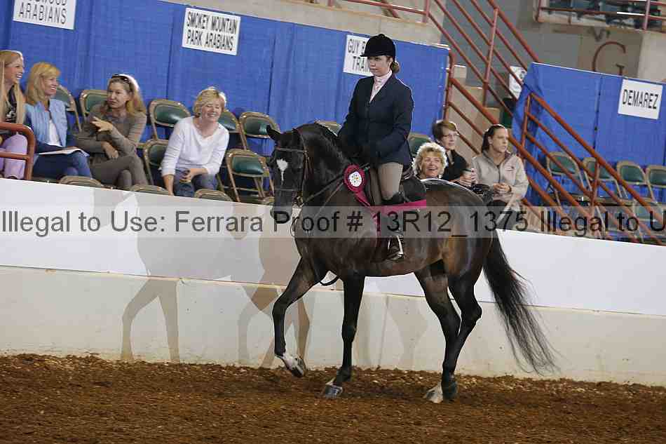 Proof Number 13r12_1375