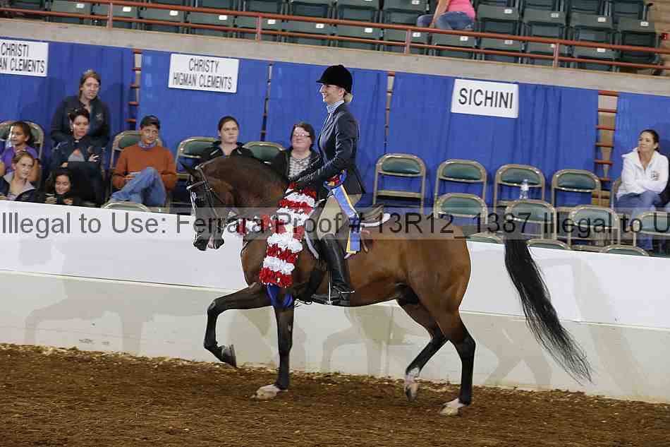 Proof Number 13r12_1387