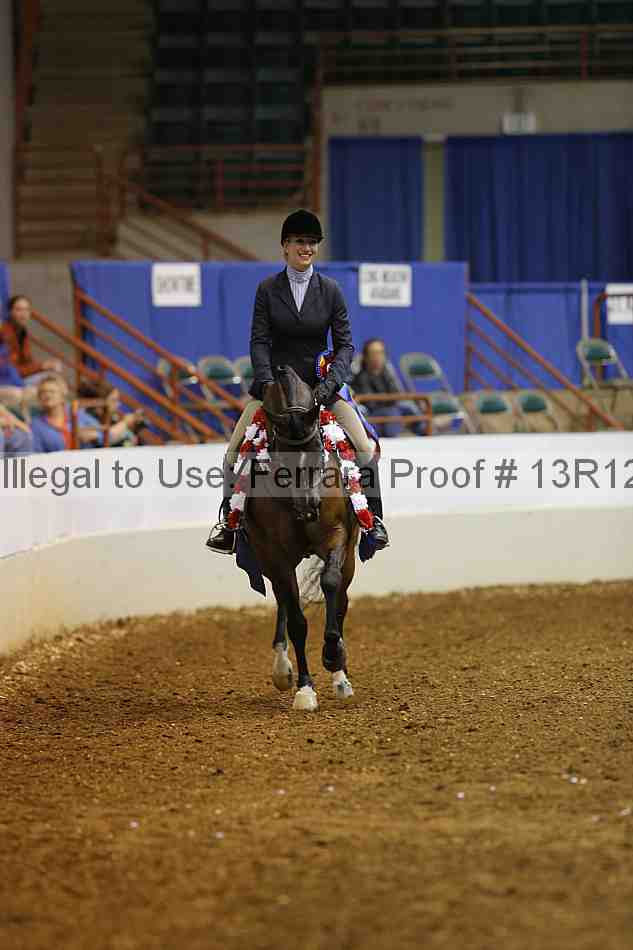 Proof Number 13r12_1389