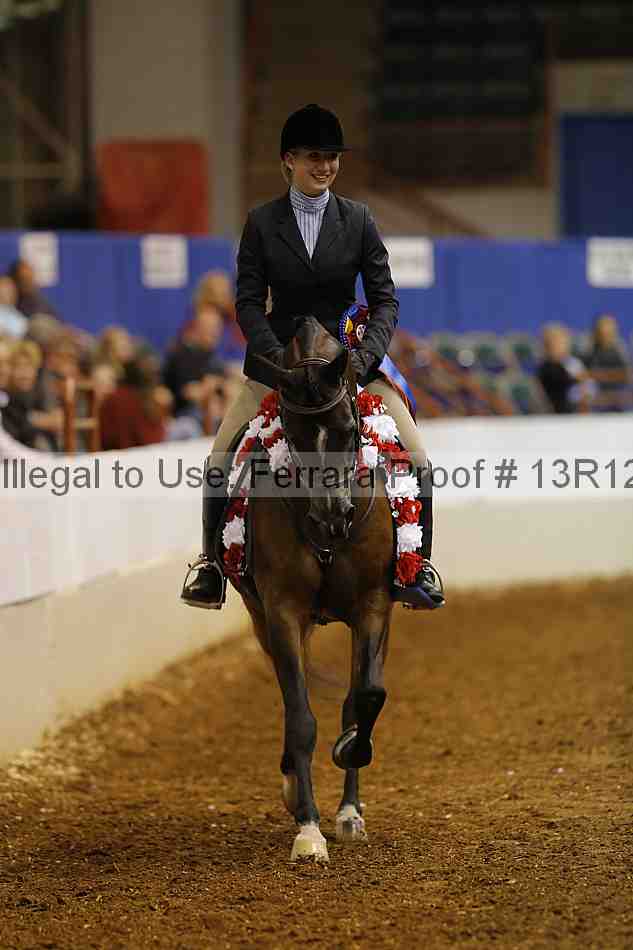 Proof Number 13r12_1392