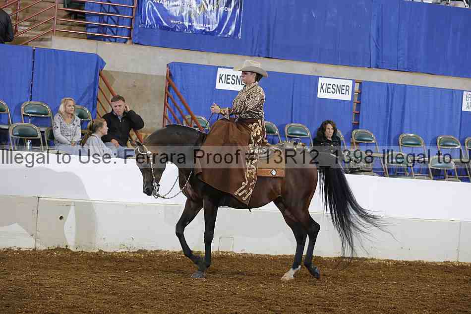 Proof Number 13r12_1398