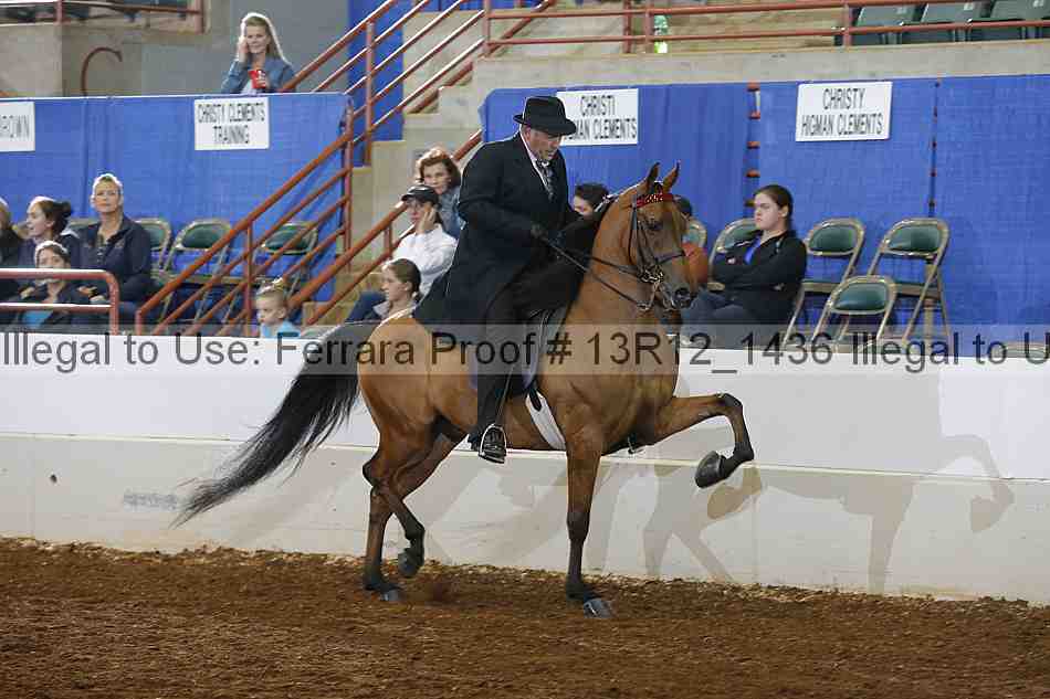 Proof Number 13r12_1436