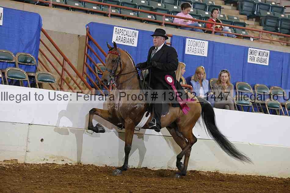 Proof Number 13r12_1447