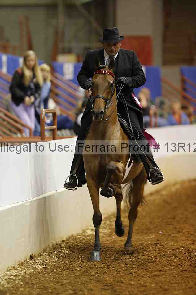 Proof Number 13r12_1449