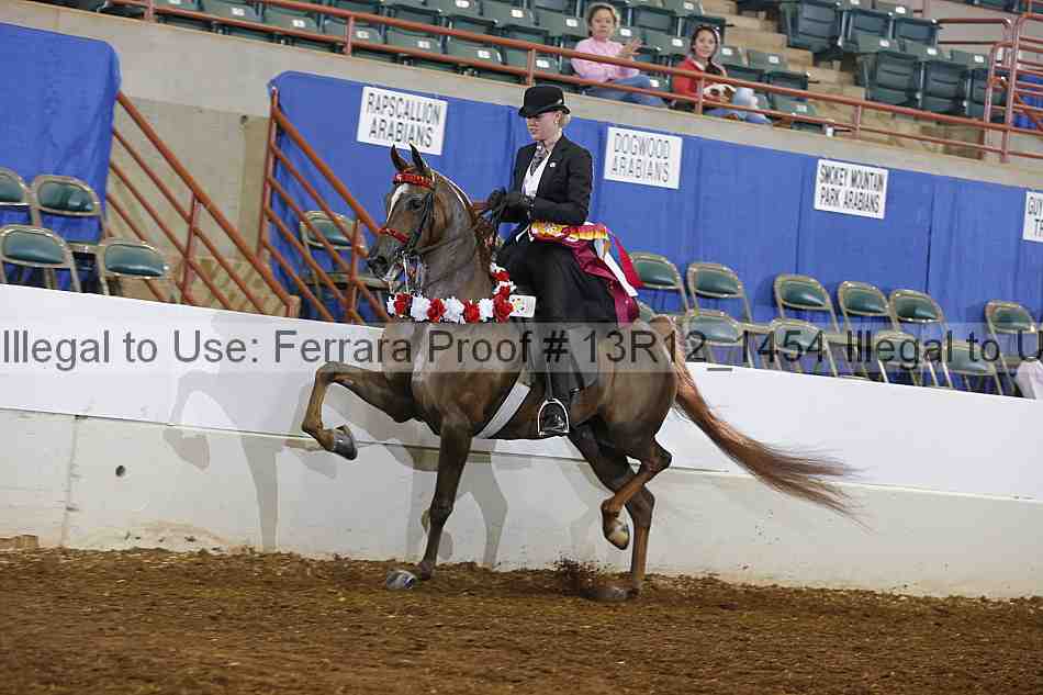 Proof Number 13r12_1454