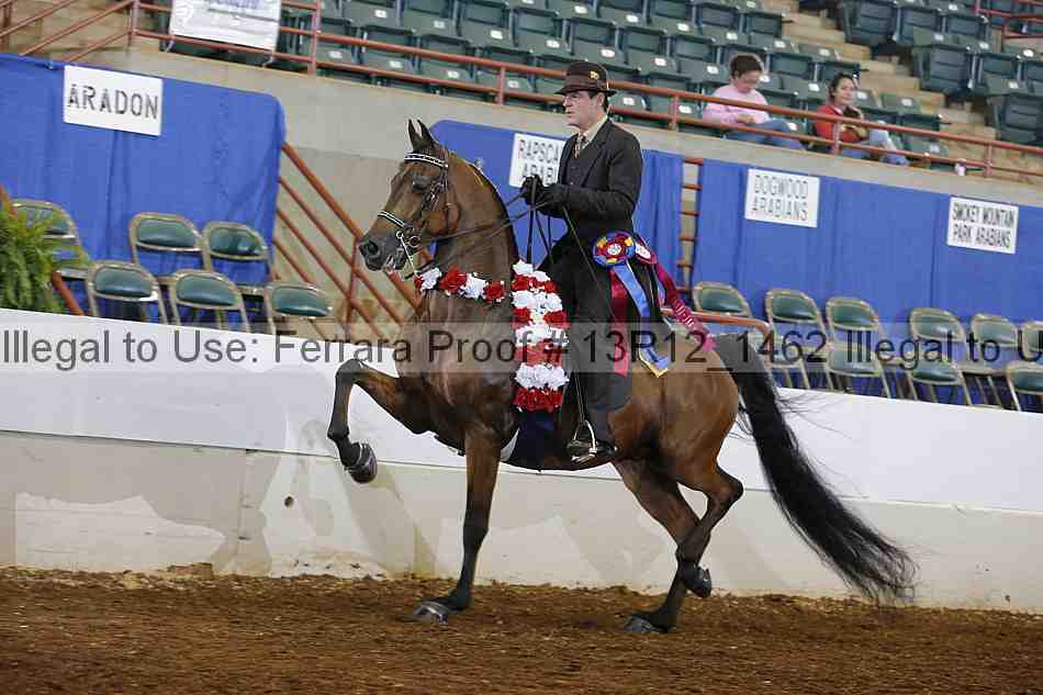 Proof Number 13r12_1462