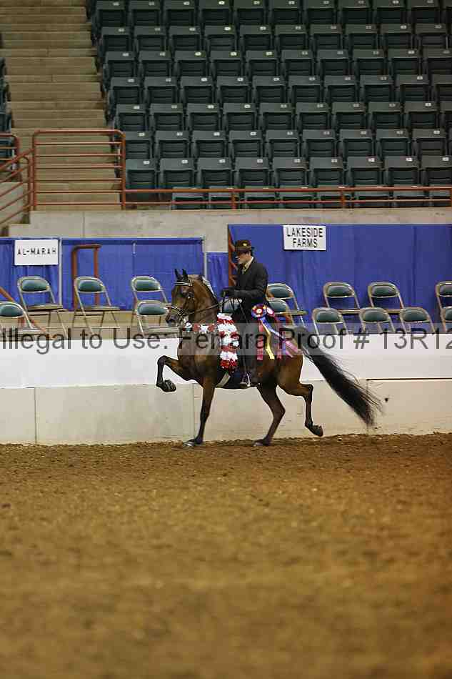 Proof Number 13r12_1463