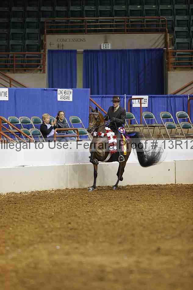 Proof Number 13r12_1465