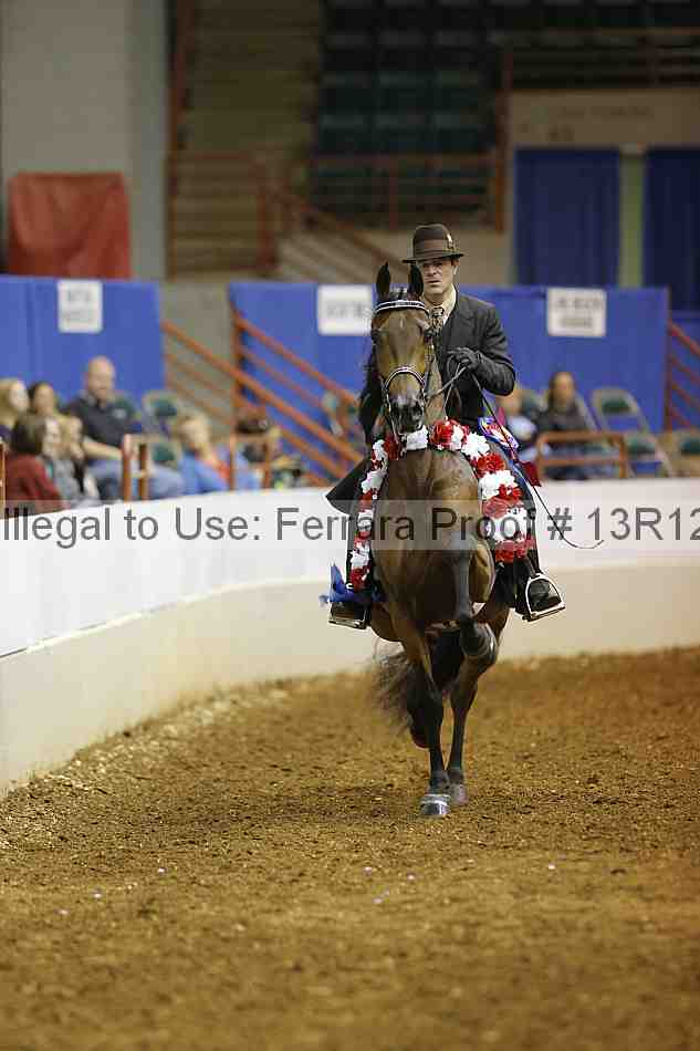 Proof Number 13r12_1467