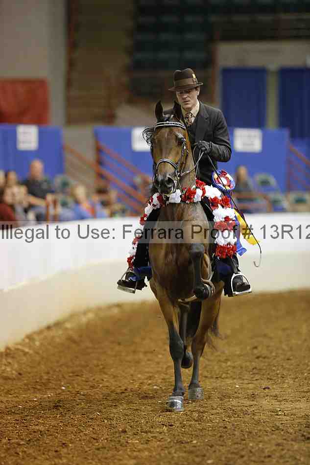 Proof Number 13r12_1468